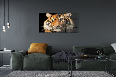 Acrylglasbilder Tiger