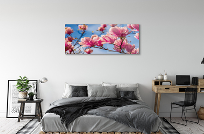 Acrylglasbilder Blühenden bäumen