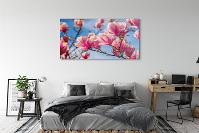 Acrylglasbilder Blühenden bäumen