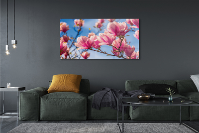 Acrylglasbilder Blühenden bäumen