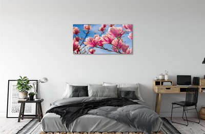 Acrylglasbilder Blühenden bäumen