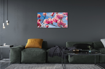 Acrylglasbilder Blühenden bäumen
