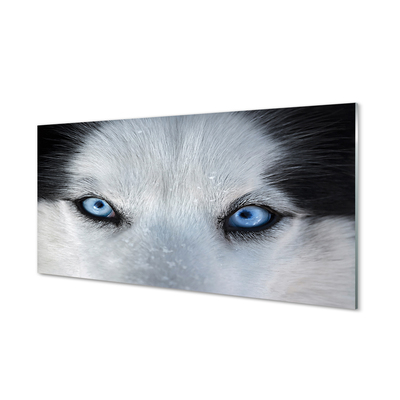 Acrylglasbilder Wolf augen