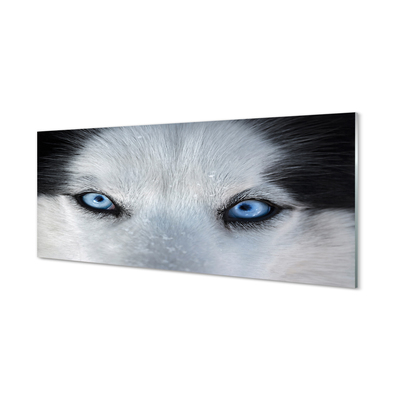 Acrylglasbilder Wolf augen