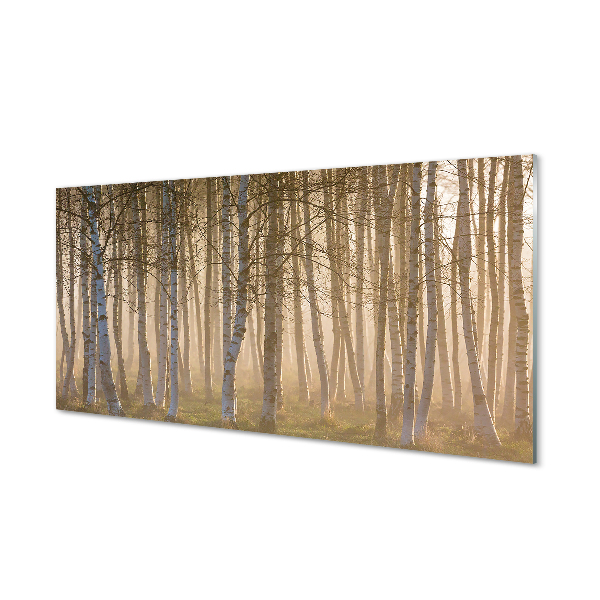 Acrylglasbilder Wald sonnenaufgang