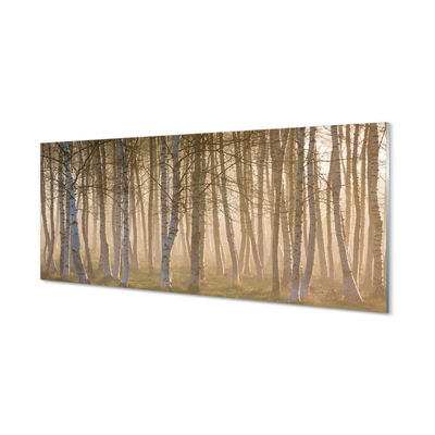Acrylglasbilder Wald sonnenaufgang