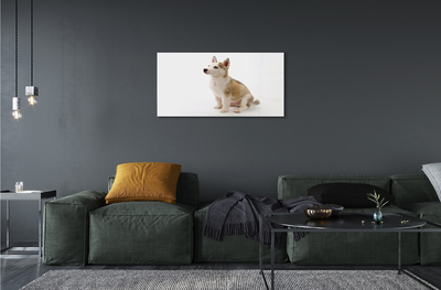Acrylglasbilder Sitzen kleinen hund