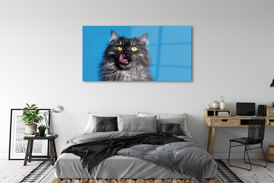 Acrylglasbilder Oblizujący katze