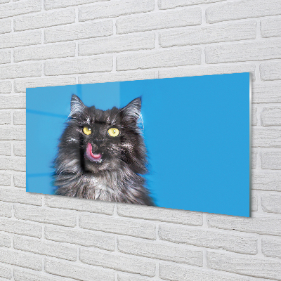 Acrylglasbilder Oblizujący katze