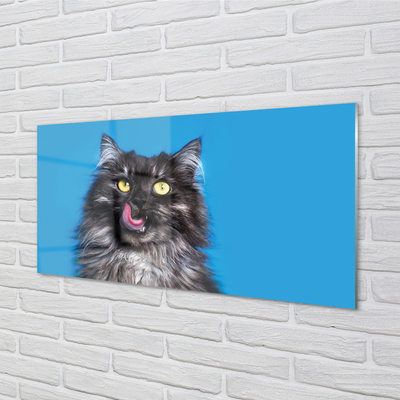 Acrylglasbilder Oblizujący katze