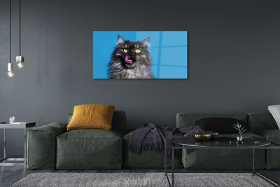 Acrylglasbilder Oblizujący katze