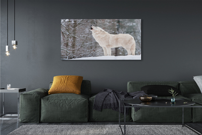 Acrylglasbilder Loup winterwald