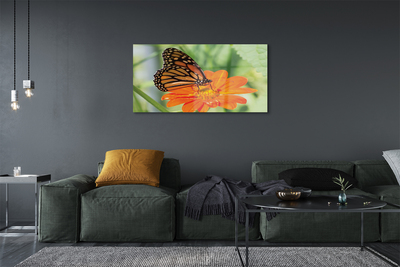 Acrylglasbilder Schmetterling farbige blumen