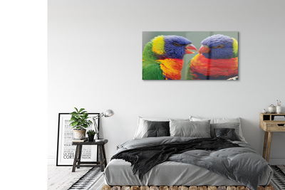 Acrylglasbilder Bunter papagei