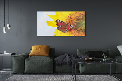 Acrylglasbilder Sonnenblumen motte
