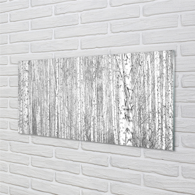 Acrylglasbilder Schwarz-weiß-wald
