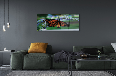 Acrylglasbilder Schmetterling auf blume