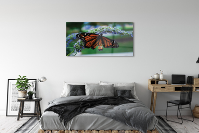 Acrylglasbilder Schmetterling auf blume