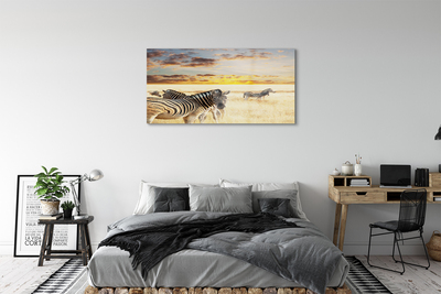 Acrylglasbilder Sonnenuntergang auf dem feld zebra