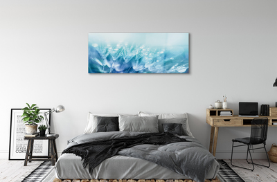Acrylglasbilder Abstraktion tropfen löwenzahn