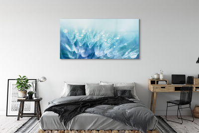 Acrylglasbilder Abstraktion tropfen löwenzahn