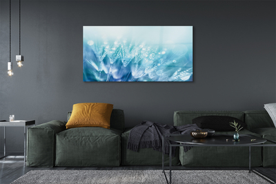 Acrylglasbilder Abstraktion tropfen löwenzahn