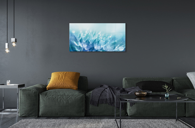 Acrylglasbilder Abstraktion tropfen löwenzahn