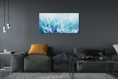 Acrylglasbilder Abstraktion tropfen löwenzahn