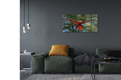 Acrylglasbilder Macawpapagei