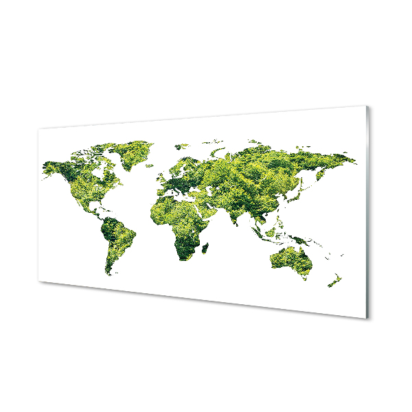 Acrylglasbilder Grüne gras-karte