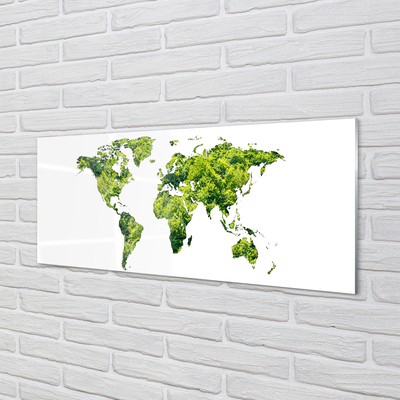 Acrylglasbilder Grüne gras-karte