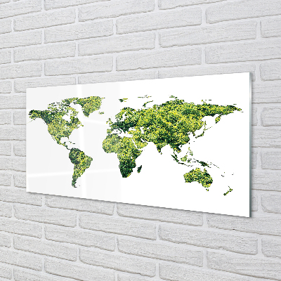 Acrylglasbilder Grüne gras-karte
