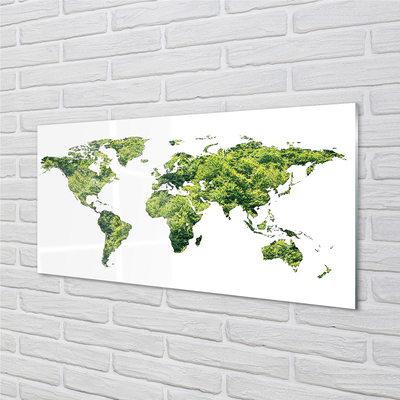 Acrylglasbilder Grüne gras-karte