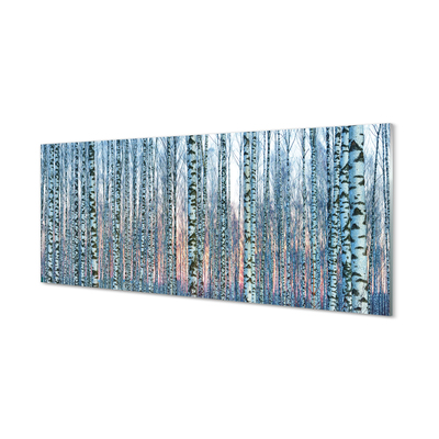 Acrylglasbilder Sonnenuntergang der birkenwald