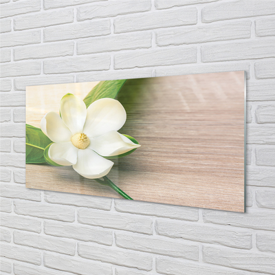 Acrylglasbilder Weiße magnolie