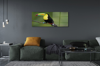 Acrylglasbilder Papagei auf einem zweig gefärbt