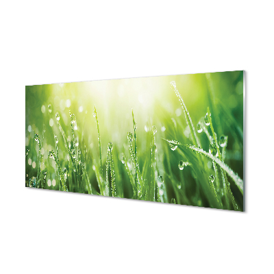 Acrylglasbilder 100x50 Wandbild Druck Gras Tautropfen Pflanzen 