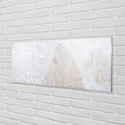 Acrylglasbilder Löwenzahn tropfen abstraktion