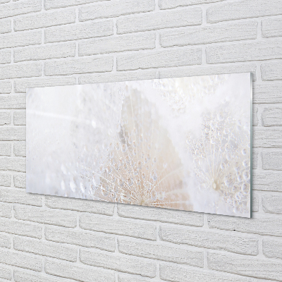 Acrylglasbilder Löwenzahn tropfen abstraktion