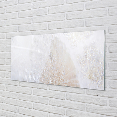 Acrylglasbilder Löwenzahn tropfen abstraktion