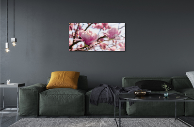 Acrylglasbilder Magnolienbaum