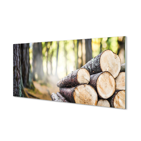 Acrylglasbilder Naturwaldholz