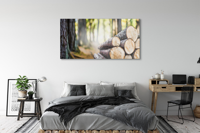 Acrylglasbilder Naturwaldholz