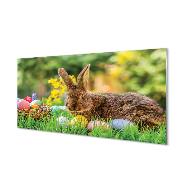 Acrylglasbilder Wiese rabbit eier