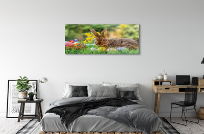 Acrylglasbilder Wiese rabbit eier