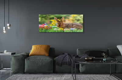 Acrylglasbilder Wiese rabbit eier