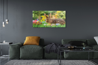 Acrylglasbilder Wiese rabbit eier