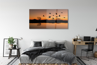 Acrylglasbilder Sonnenuntergang fliegende vögel