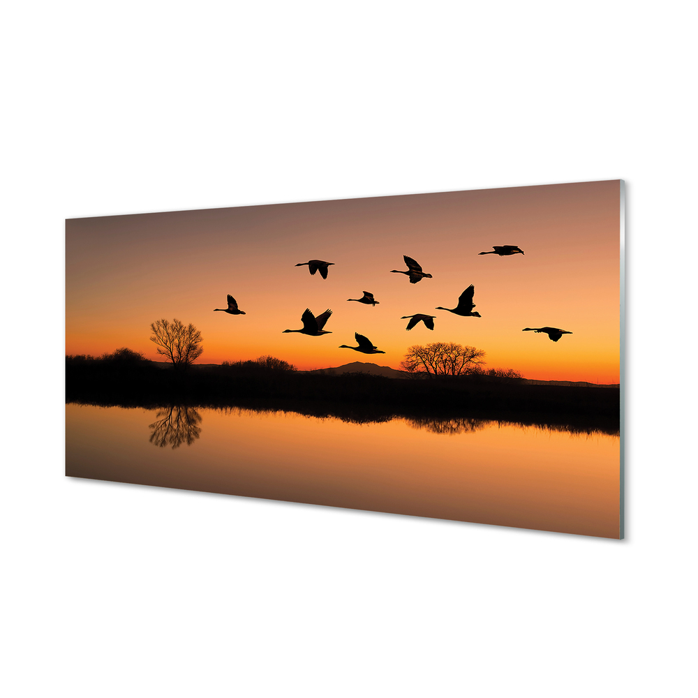 Acrylglasbilder Sonnenuntergang fliegende vögel