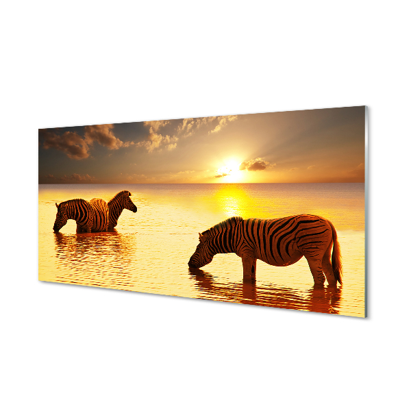 Acrylglasbilder Sonnenuntergang wasser zebras